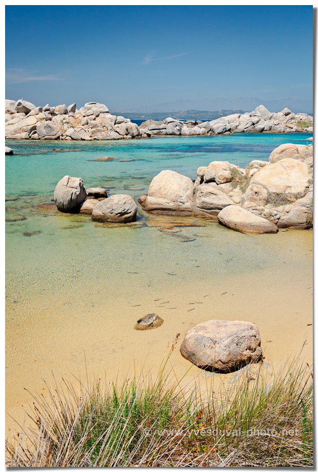 Côte de l'île Lavezzu (Corse-du-Sud, Corse)